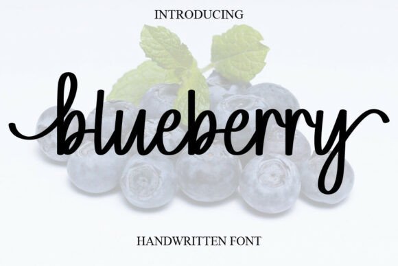 Blueberry: The Handwritten Font That Feels Like a Hug